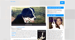 Desktop Screenshot of codipup.com